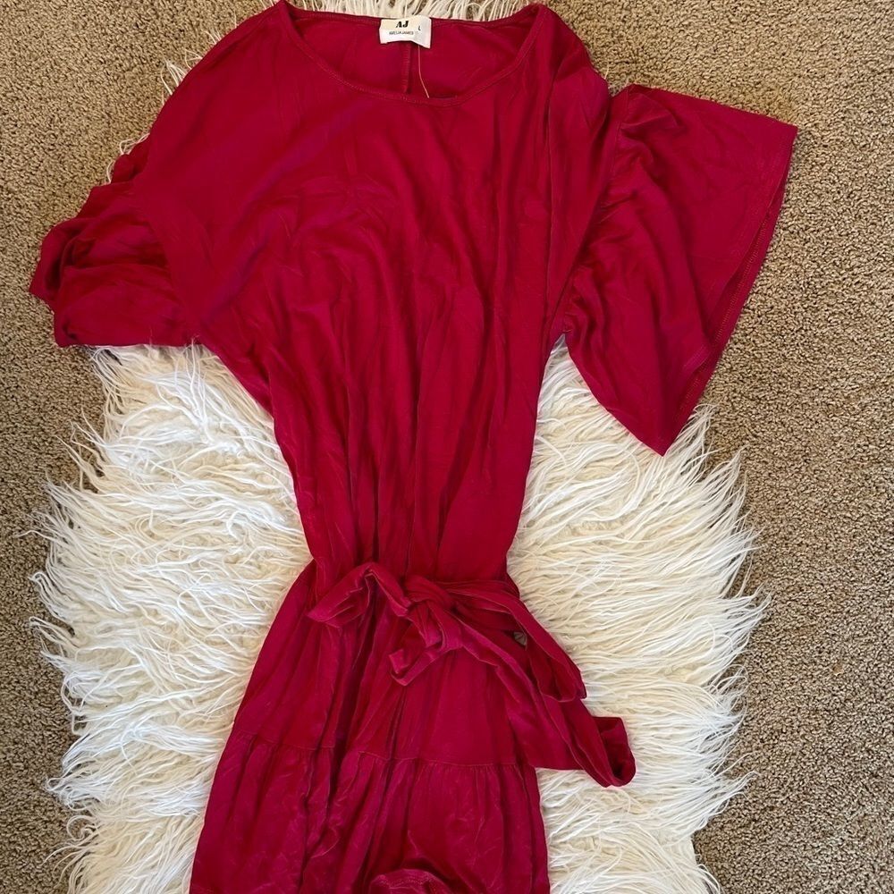 Amelia James Red Mini Dress
